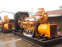 太湖发电机组的频率规格是如何确定的？